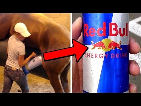 شاهد دهن الماعز أبرز مكونات أحمر الشفاه