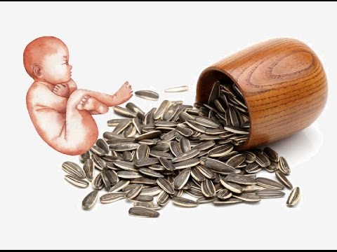 بالفيديو  فوائد كبير لـاللب السوري للمرأه الحامل