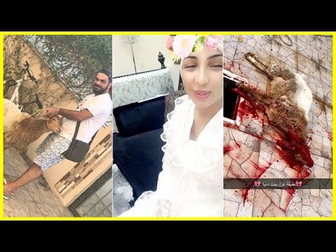 شاهد  احتفال الفنانة دنيا بطمة بعقيقة ابنتها غزل