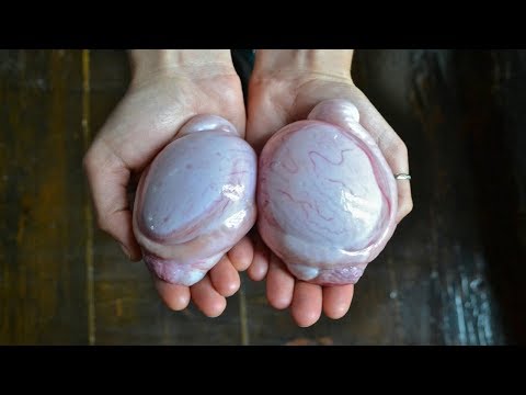 شاهد  ما يحدث لجسمك اذا أكلت خصية الخروف