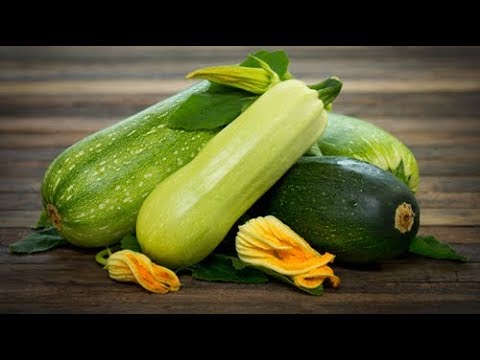 شاهد فوائد لن تصدقها للكوسة للجسم