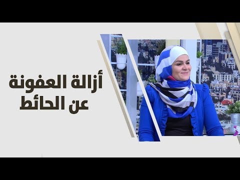 سميرة الكيلاني توضح كيفية إزالة العفونة عن الحائط