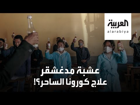 شاهد عشبة مدغشقر علاج كورونا الساحر