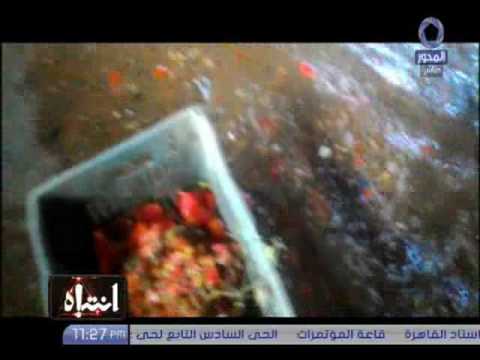 جودة الطماطم التي تدخل في صناعة الكاتشب