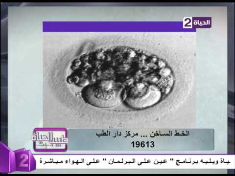 ماهي أنواع الأجنة 